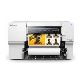 Eco-Solvent and Sublimation Printers